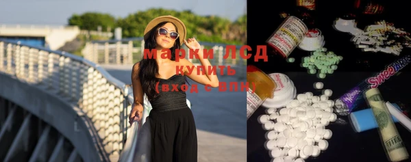 прущие грибы Новокубанск