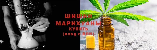 прущие грибы Новокубанск