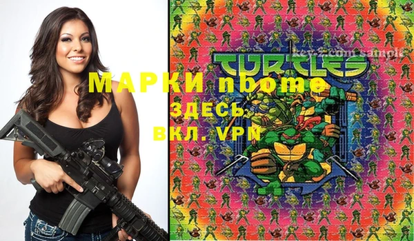 прущие грибы Новокубанск