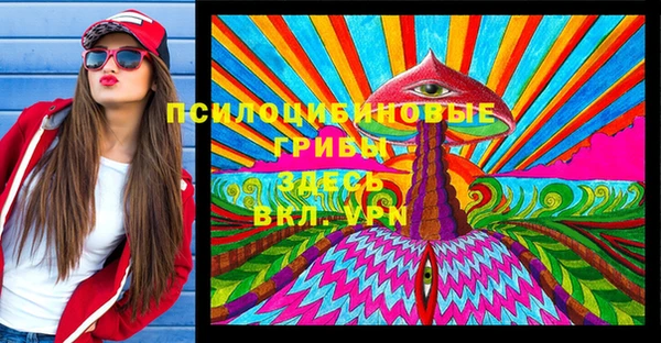 ПСИЛОЦИБИНОВЫЕ ГРИБЫ Новозыбков