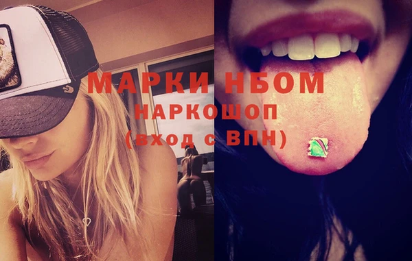 ПСИЛОЦИБИНОВЫЕ ГРИБЫ Новозыбков