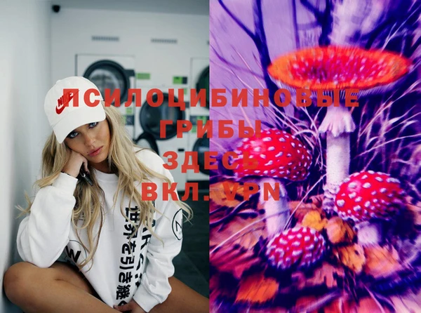 дурь Новодвинск